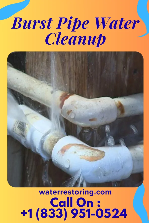 Burst Pipe Water Cleanup in Pax, WV
