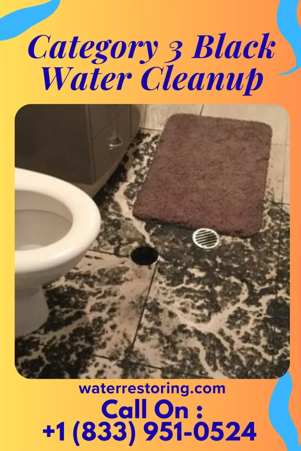 Category 3 Black Water Cleanup in Pax, WV