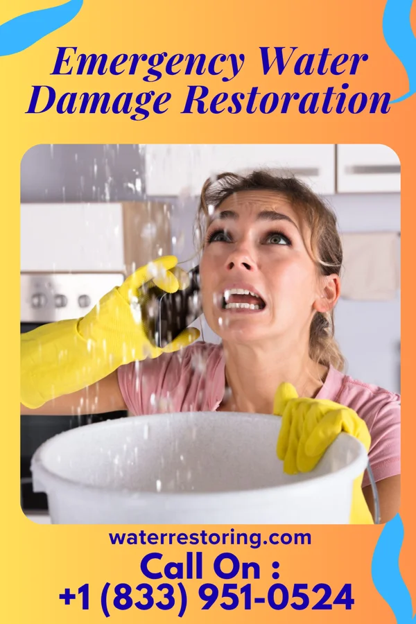 Emergency Water Damage Restoration in Pax, WV