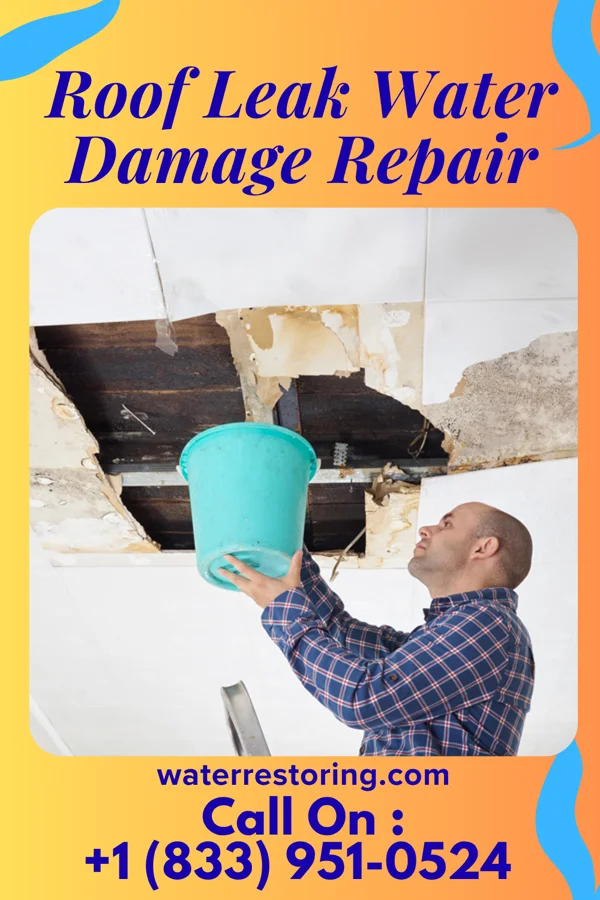 Roof Leak Water Damage Repair in Pax, WV