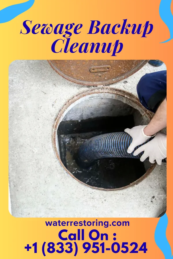 Sewage Backup Cleanup in Pax, WV